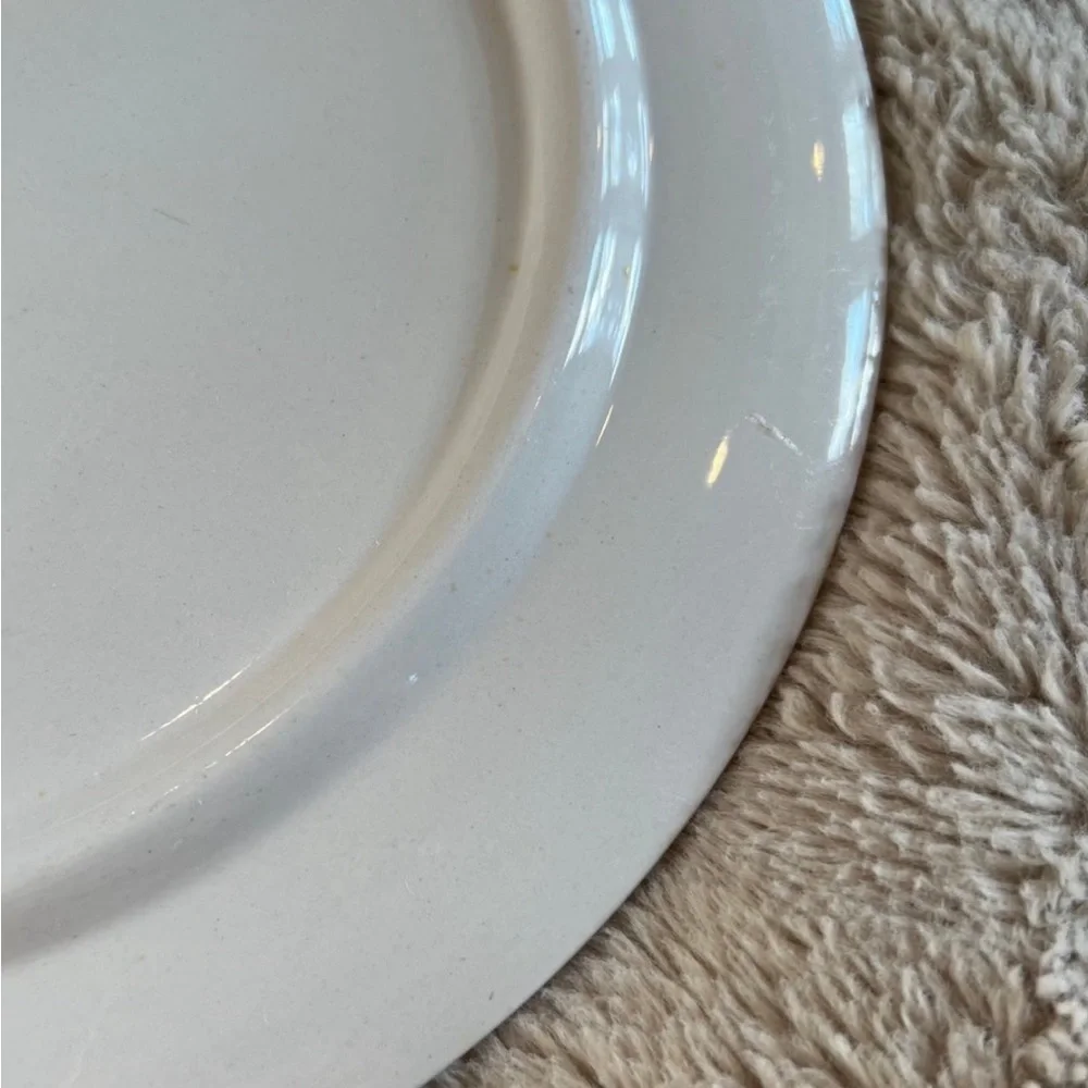 Eagle Brand Ironstone Ware Hand Painted Fruit/Wine‎ Serving Plate